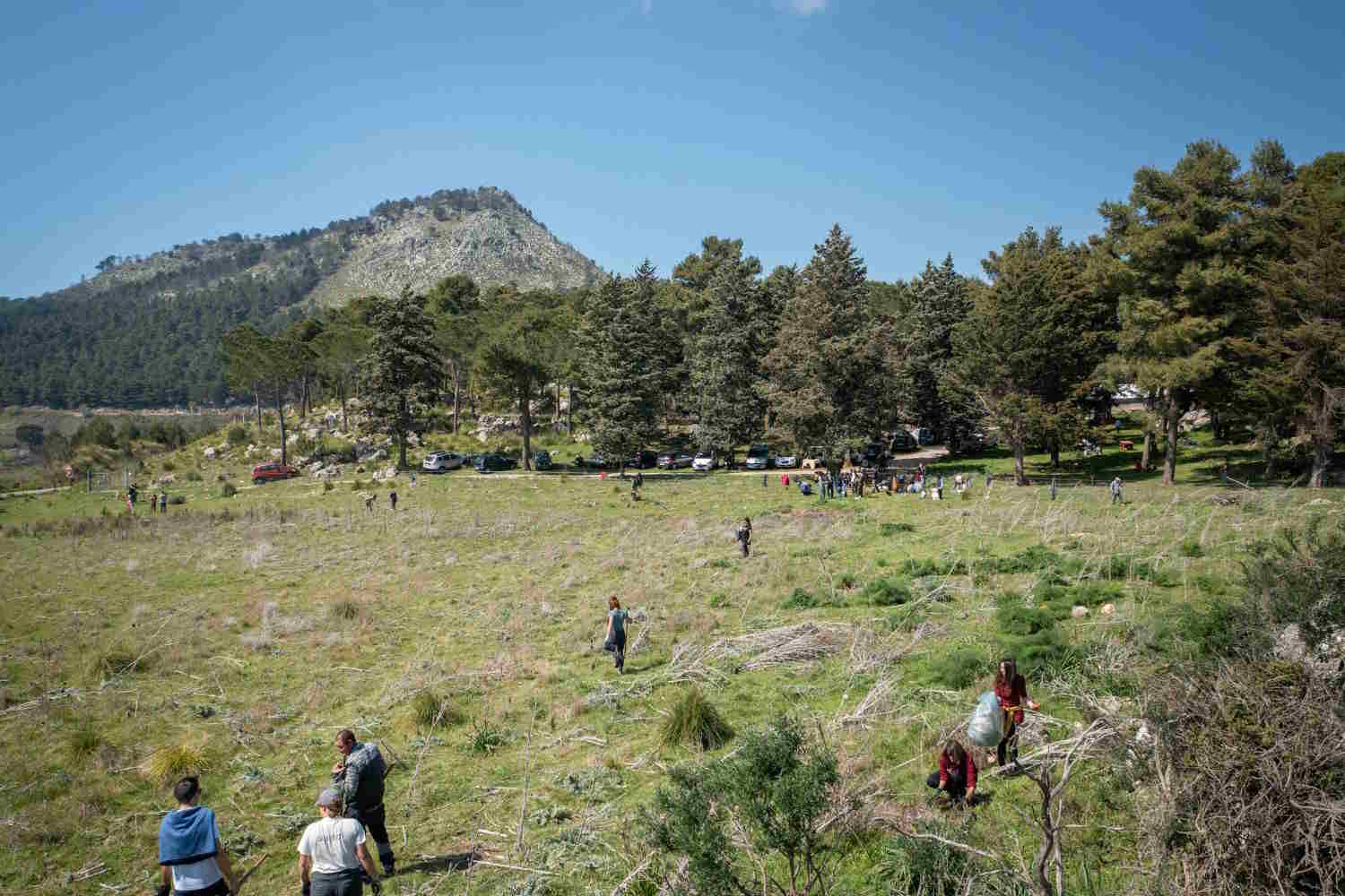 Bosco dei Seven Heavens