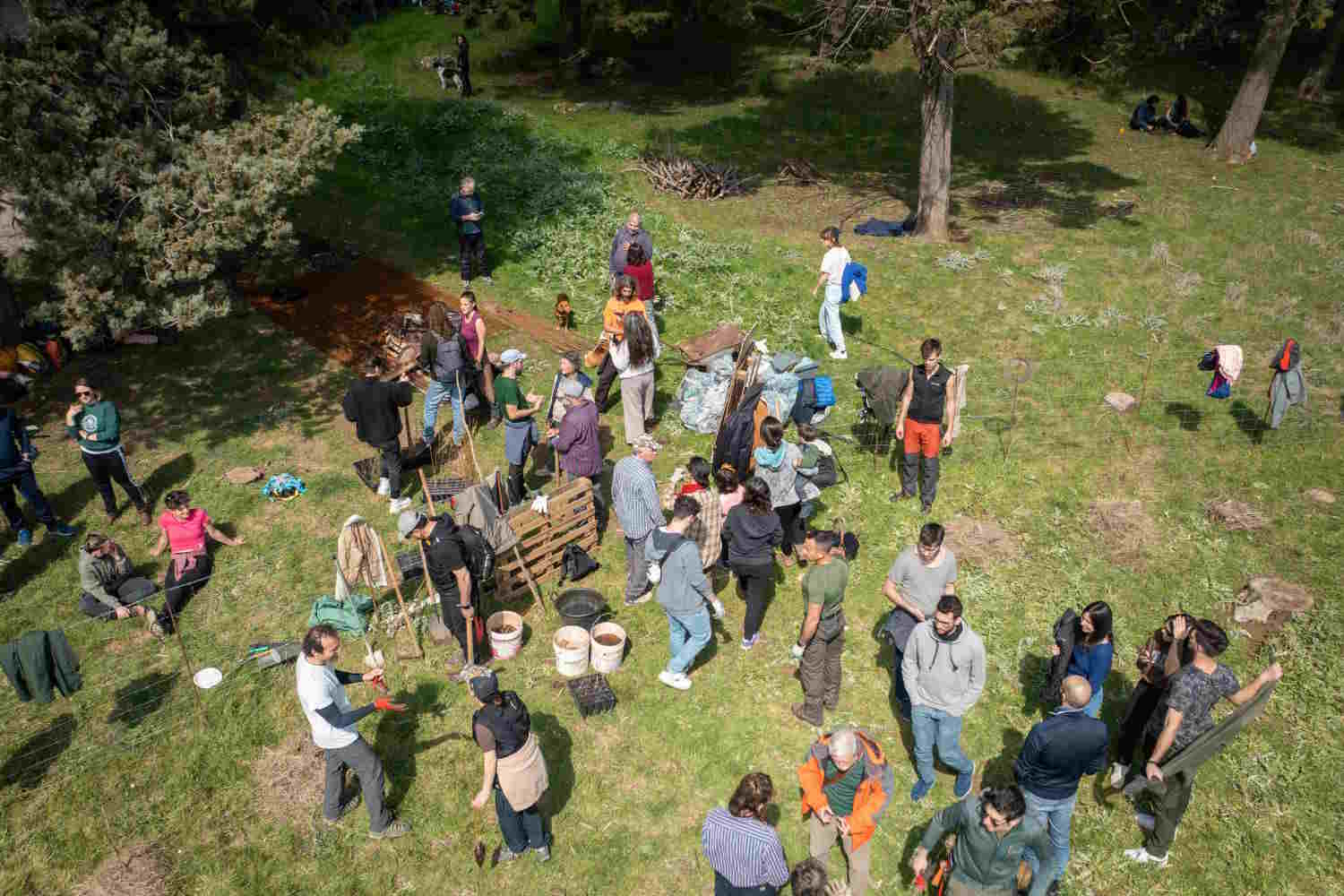 Bosco Seven skies Palermo