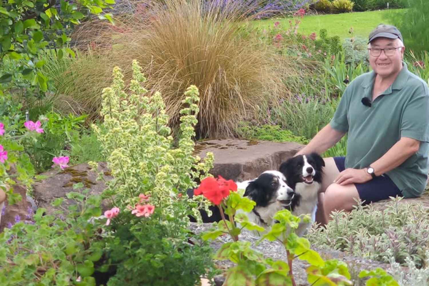 Trasforma giardino oasi