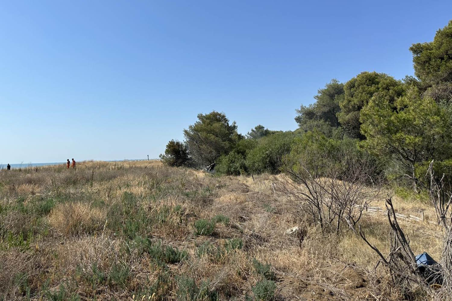 The Oasis of Lago Salso in Manfredonia Brucia, destroyed 800 hectares of land, ecosystems and seriously damaged companies