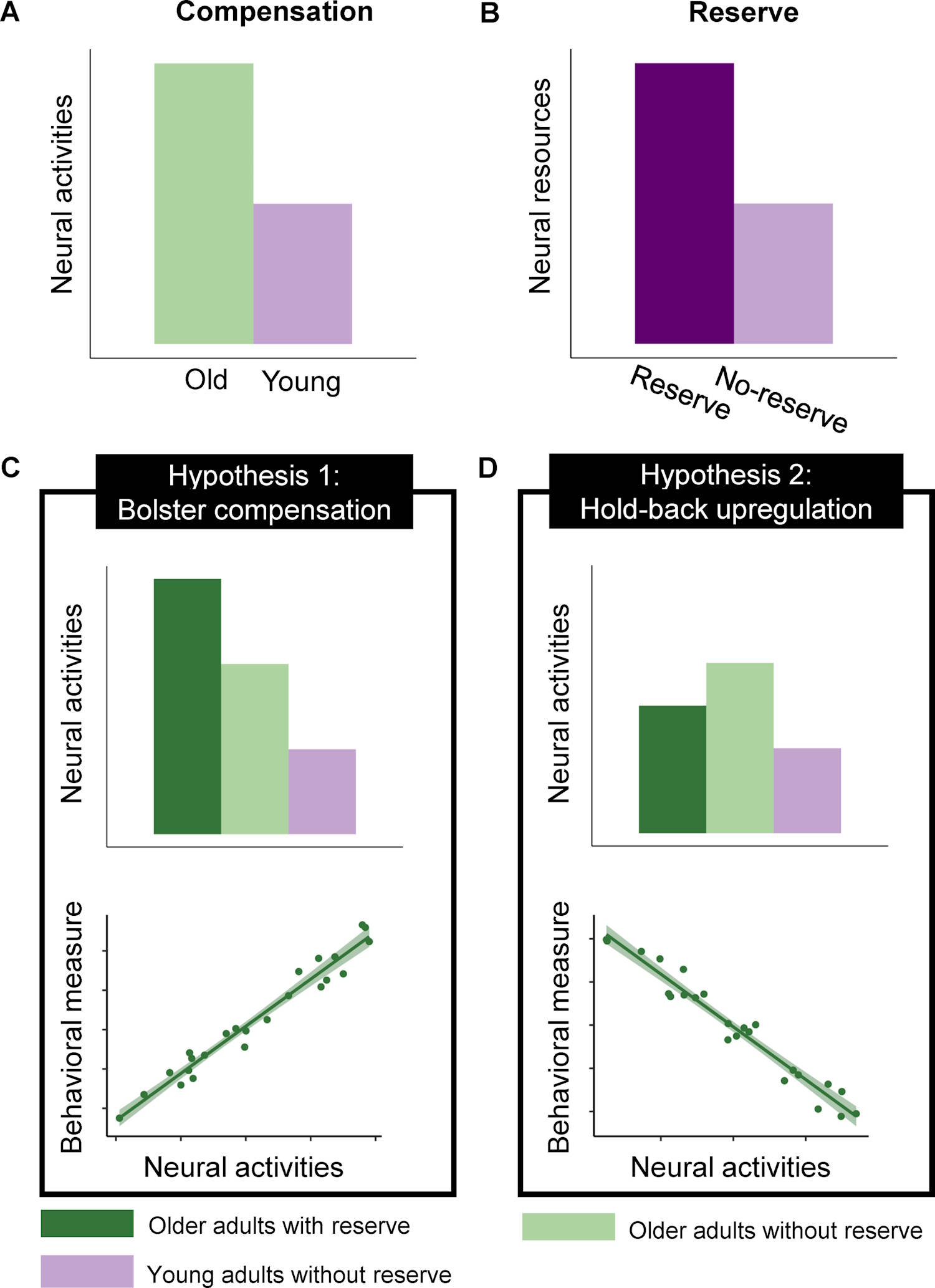 Play a cognitive decline tool
