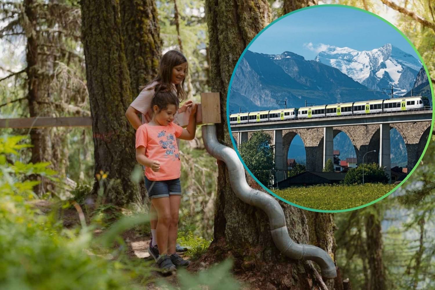 From Domodossola to the Swiss Alps: how to bring children to the mountains without stress with the green train