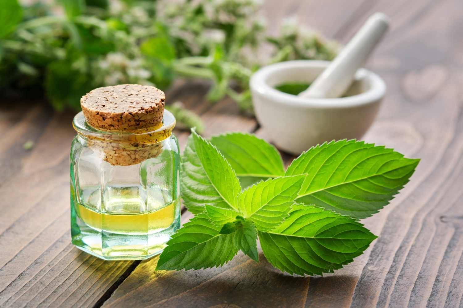 Piperita Minto Essential Oil 2
