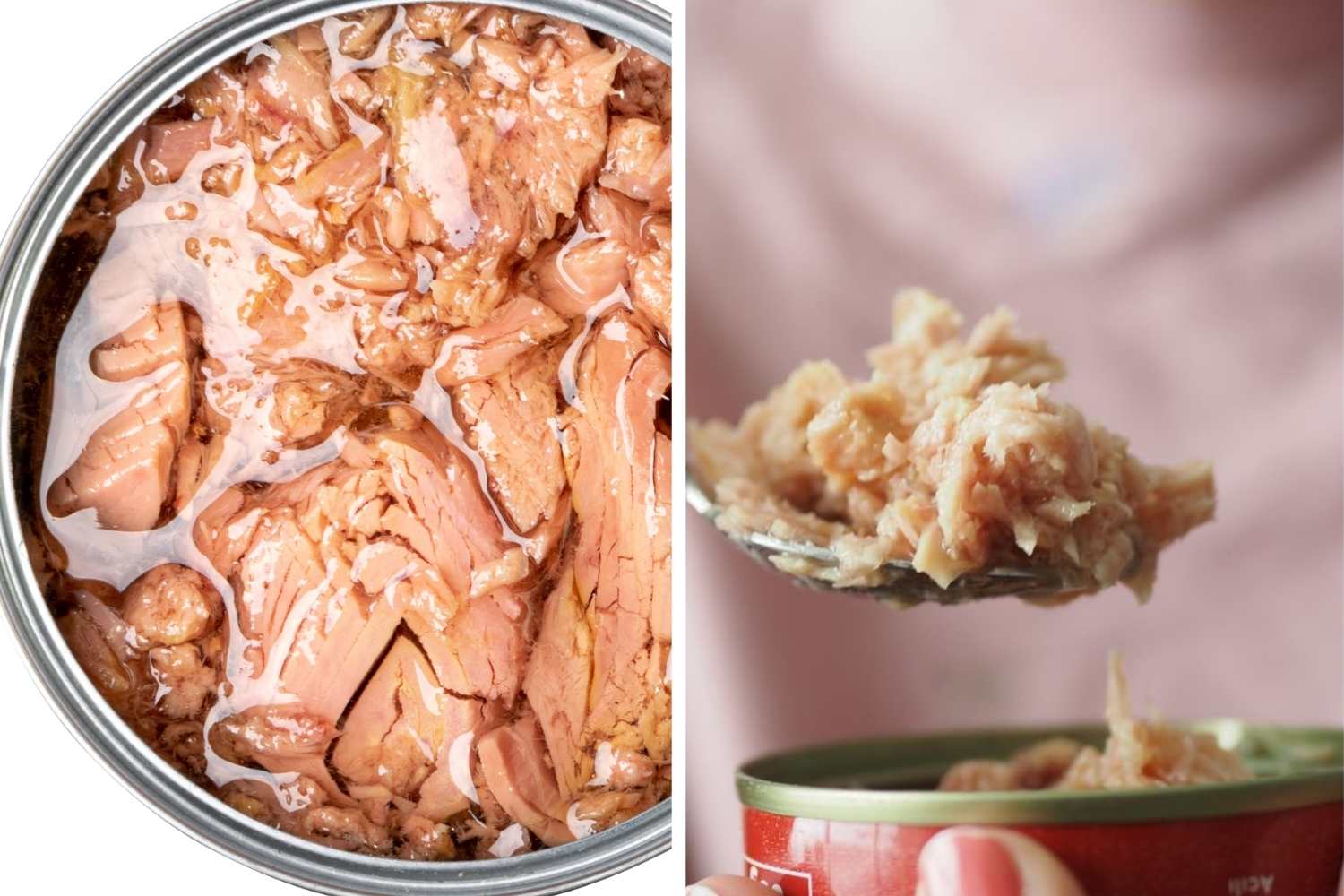 olio scatoletta tonno