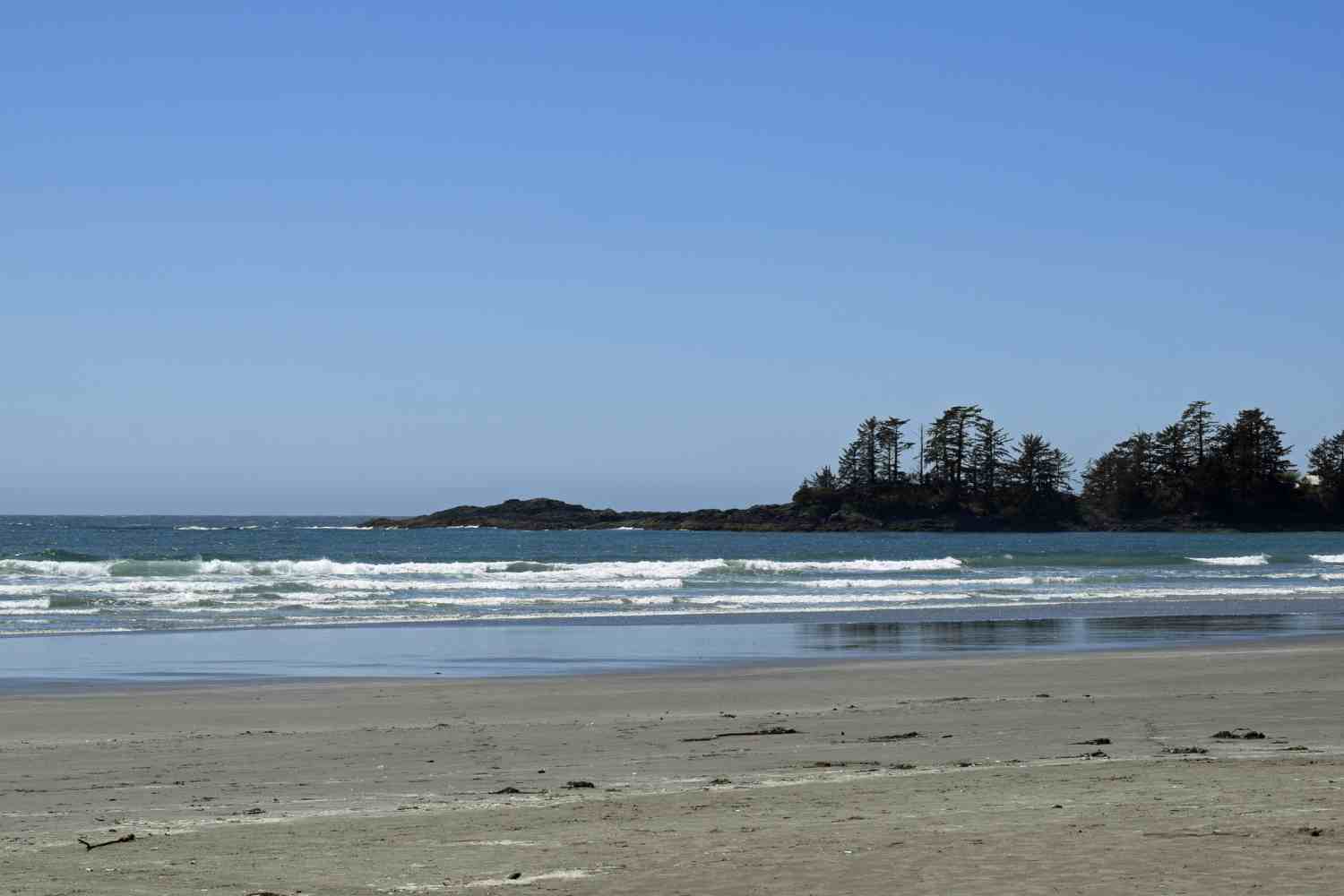 Chesteman Beach