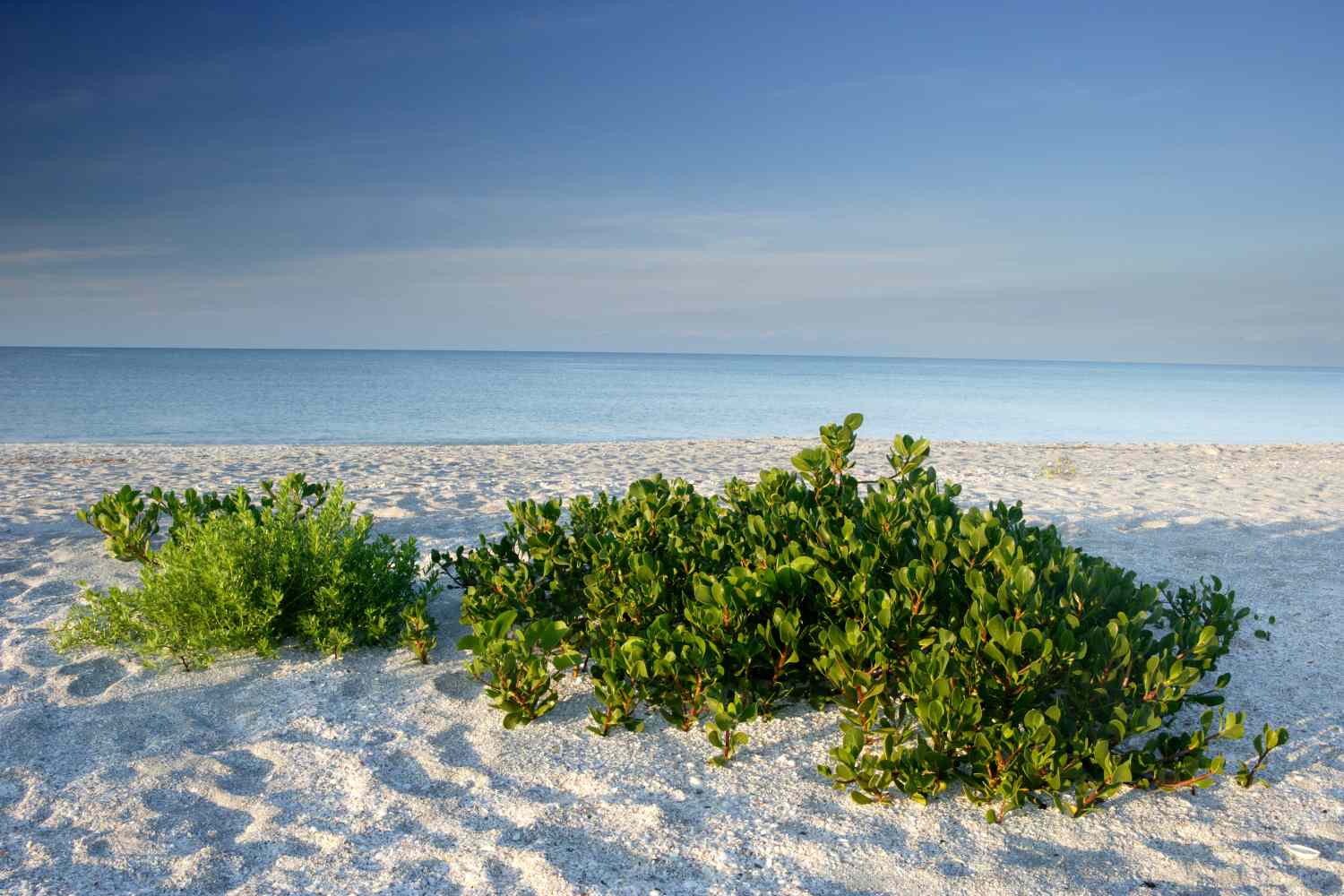 Bowman's Beach