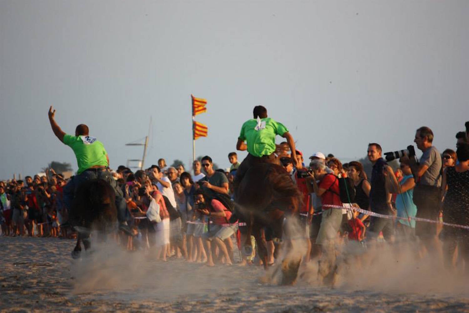 Corregudes de Joies: the crazy horse races on the beach return to Valencia (despite the heat and protests)