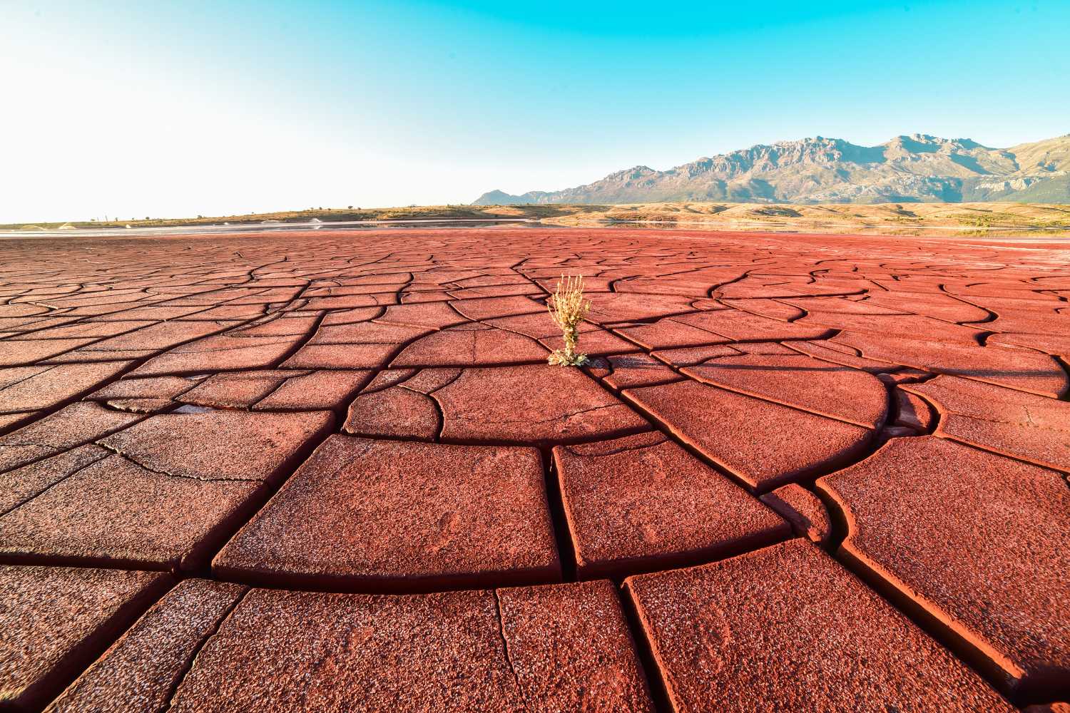siccità estiva