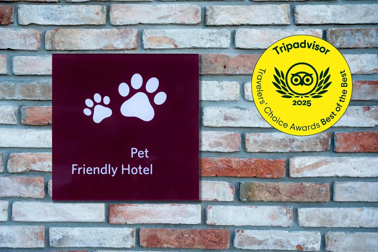 hotel pet friendly