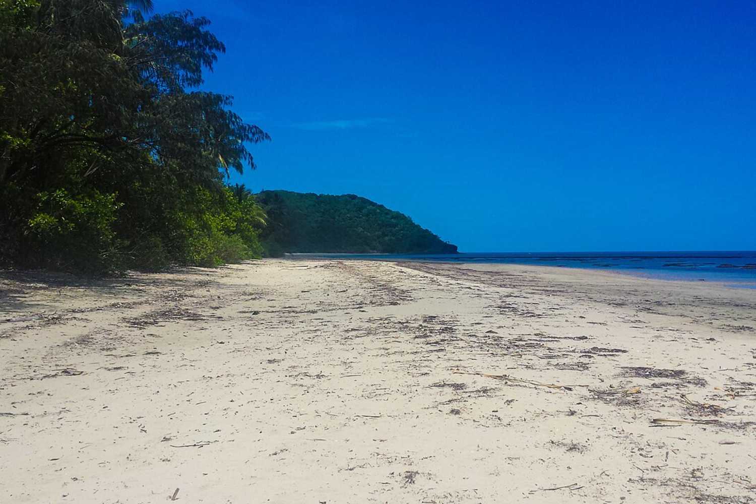Cape Tribulation