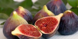 Fig, the September fruit that lasts very little: how to choose it and preserve it without ruining it