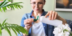 I’ll give you 5 simple tips to find your plants alive when you return from holidays