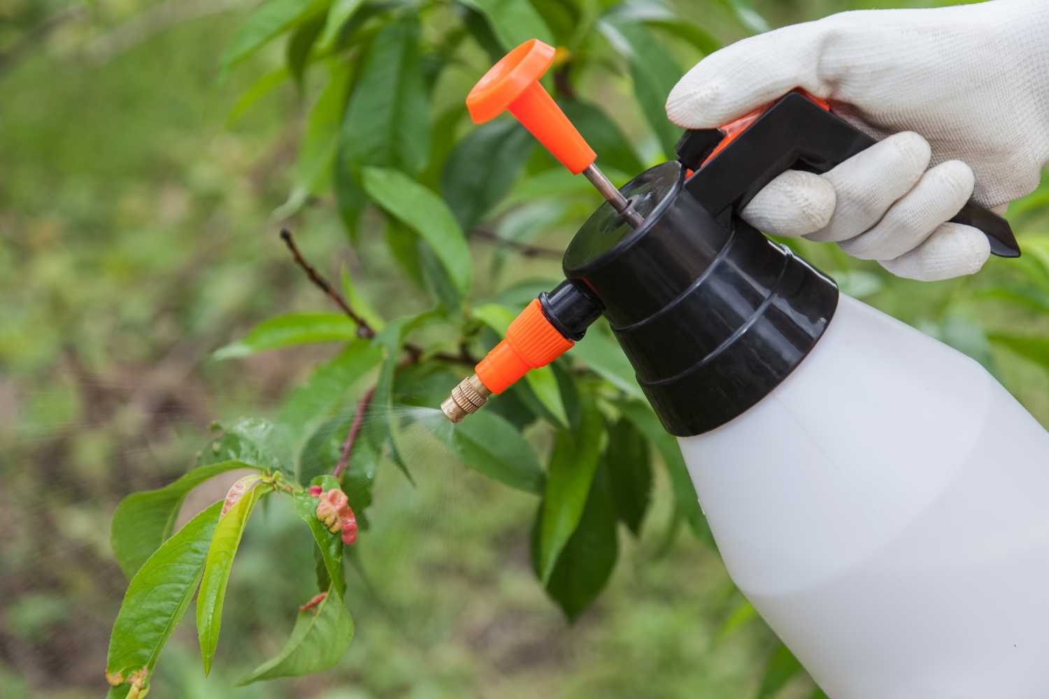 toxic fungicides
