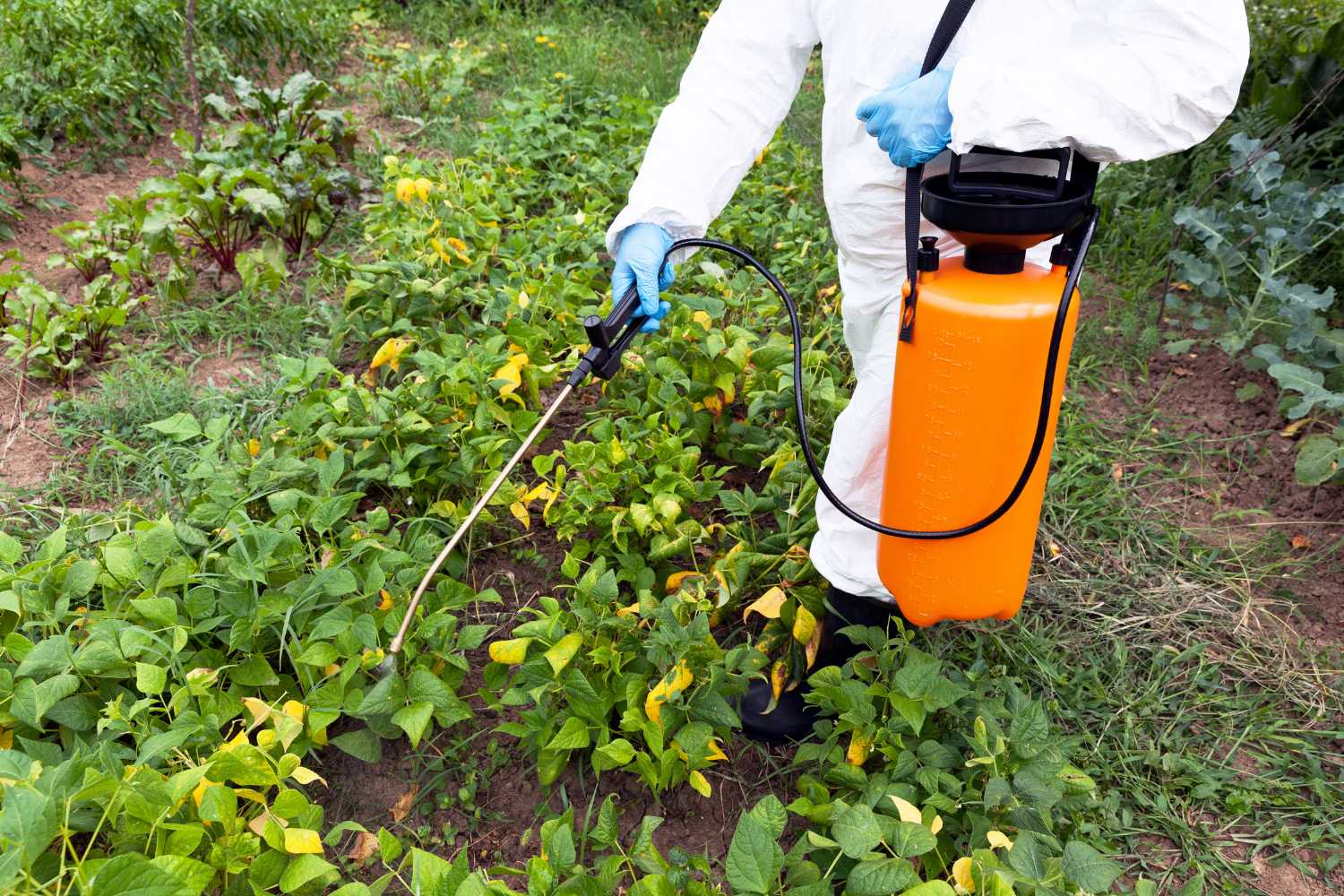 chemical herbicides