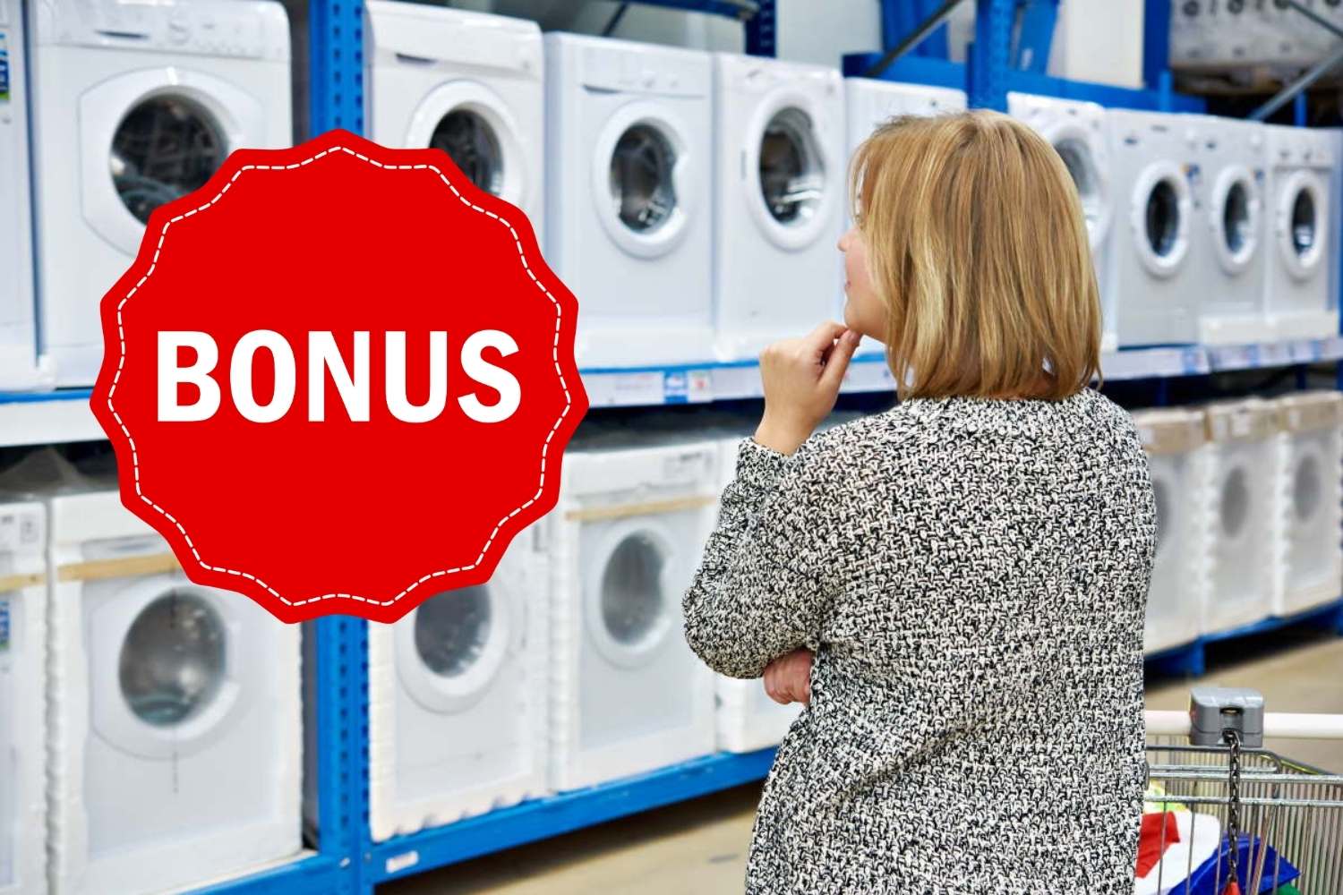 bonus elettromestici