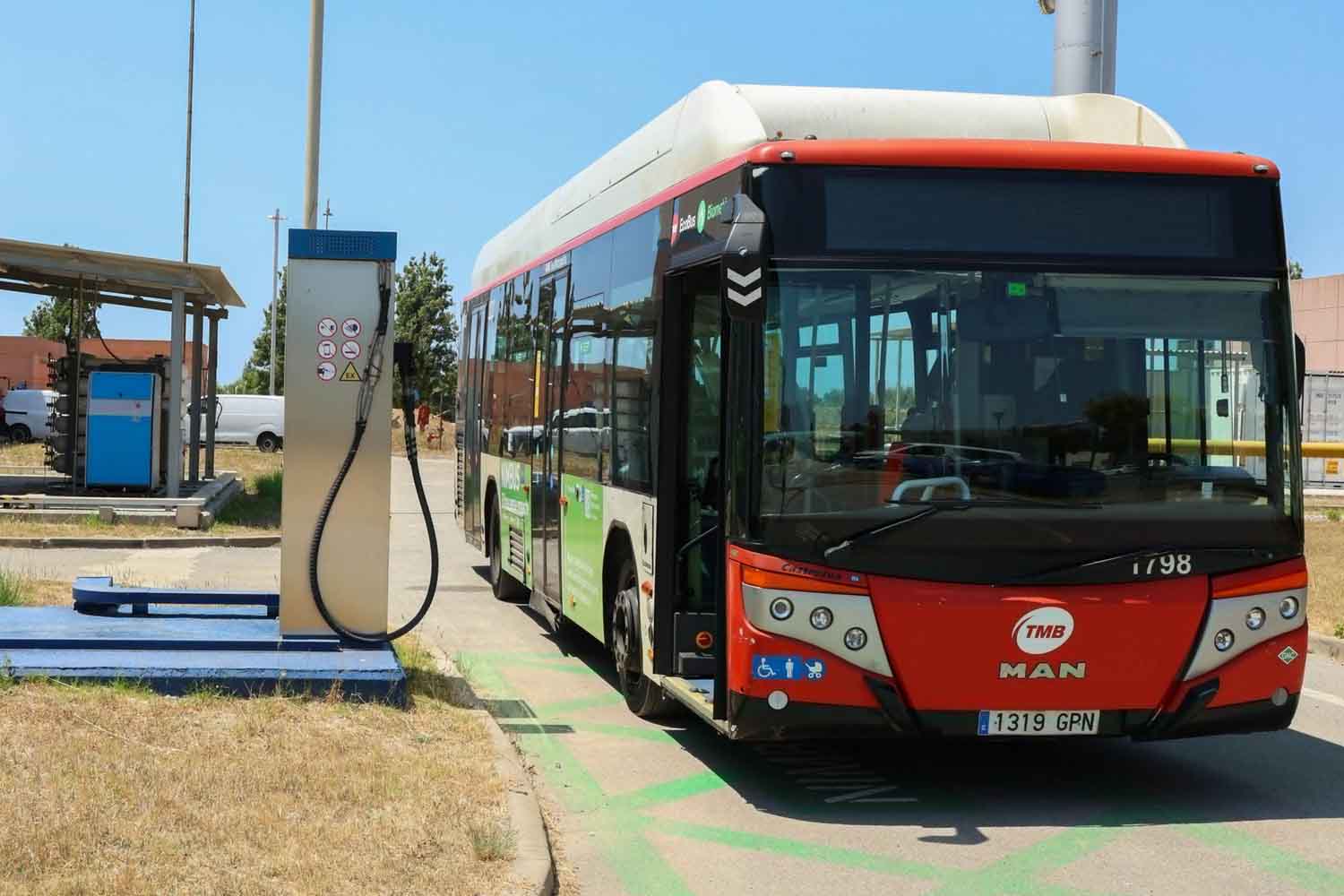 autobus acque reflue