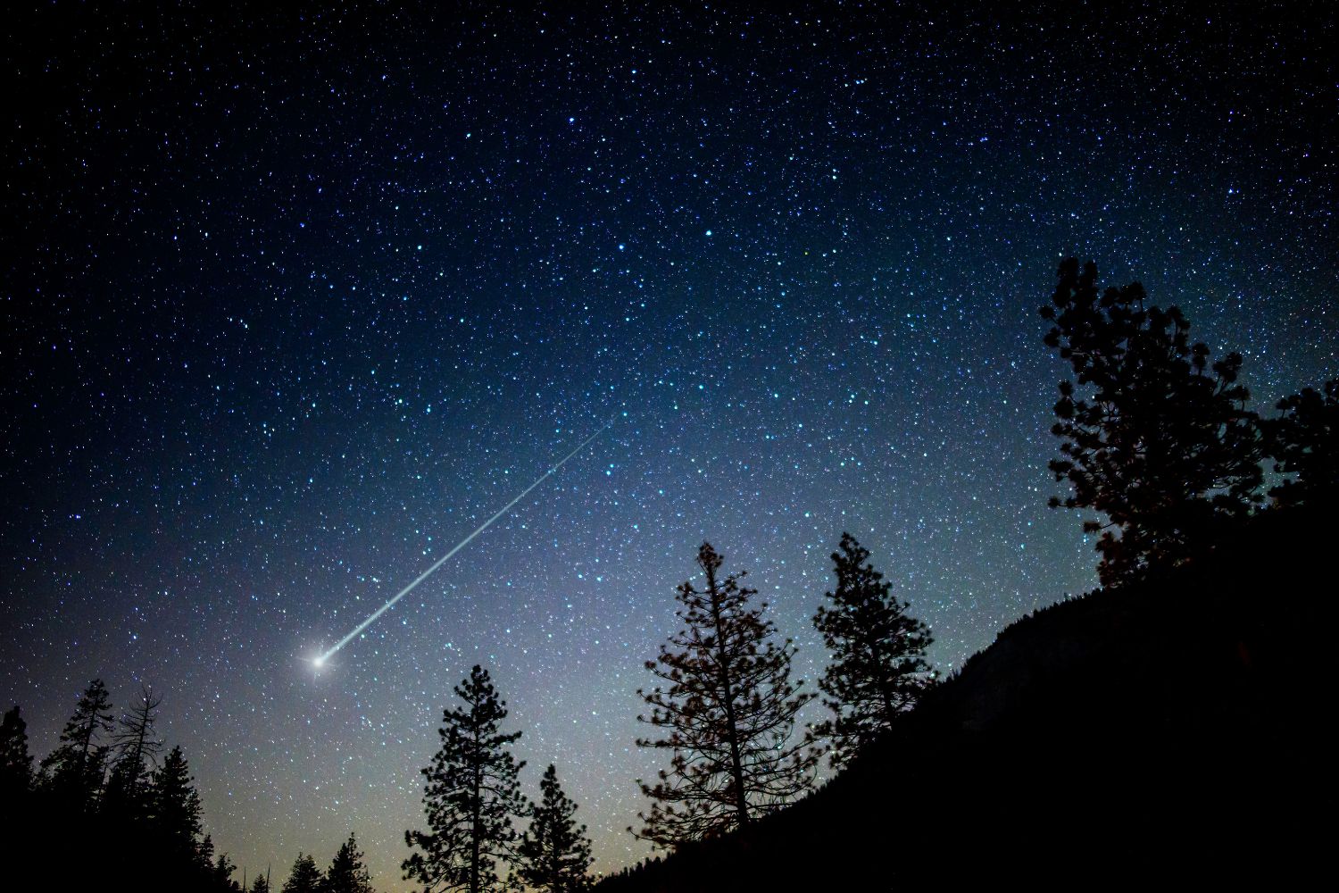 notte speciale venere presepe stelle cadenti