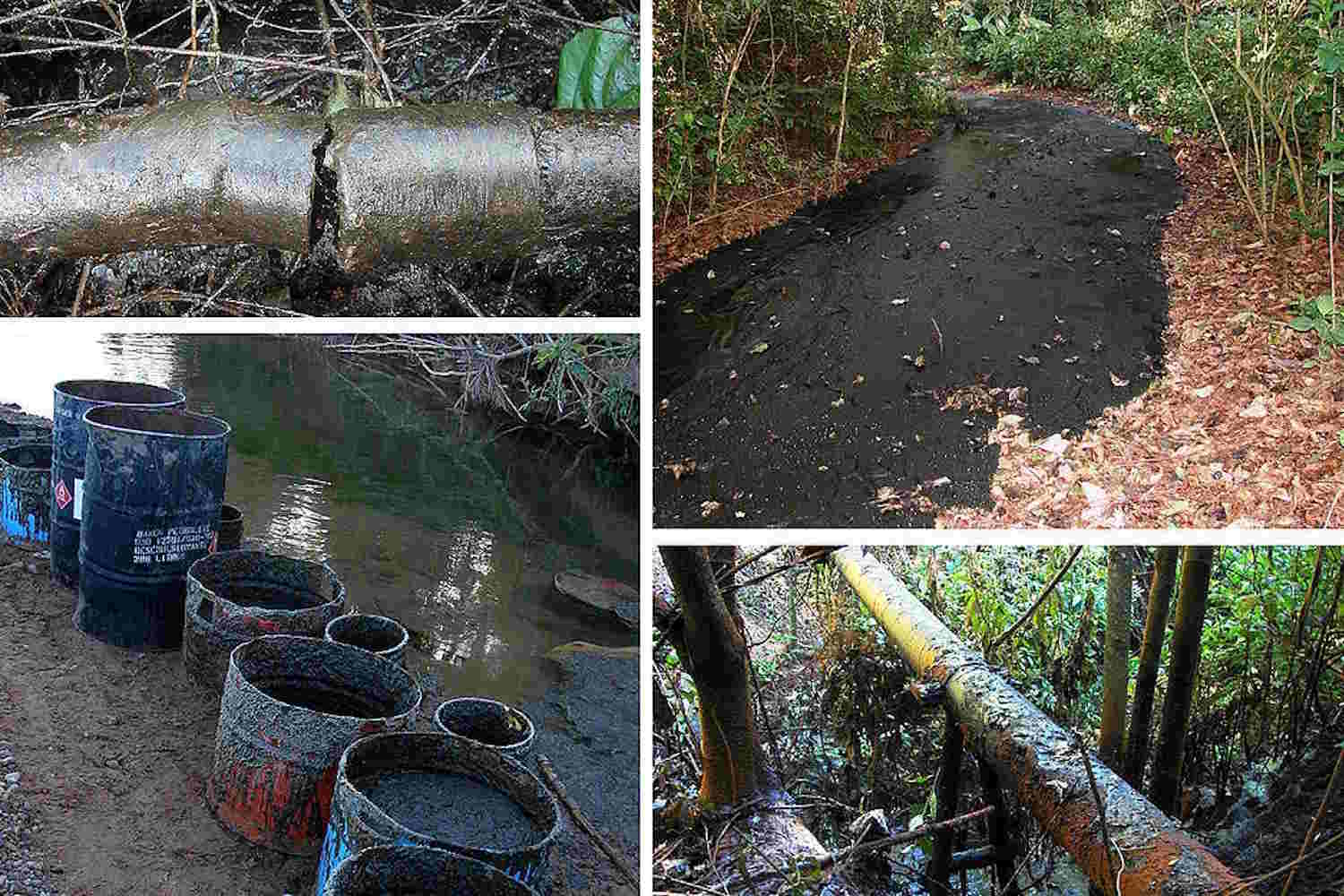 petrolio parco Calilegua argentina