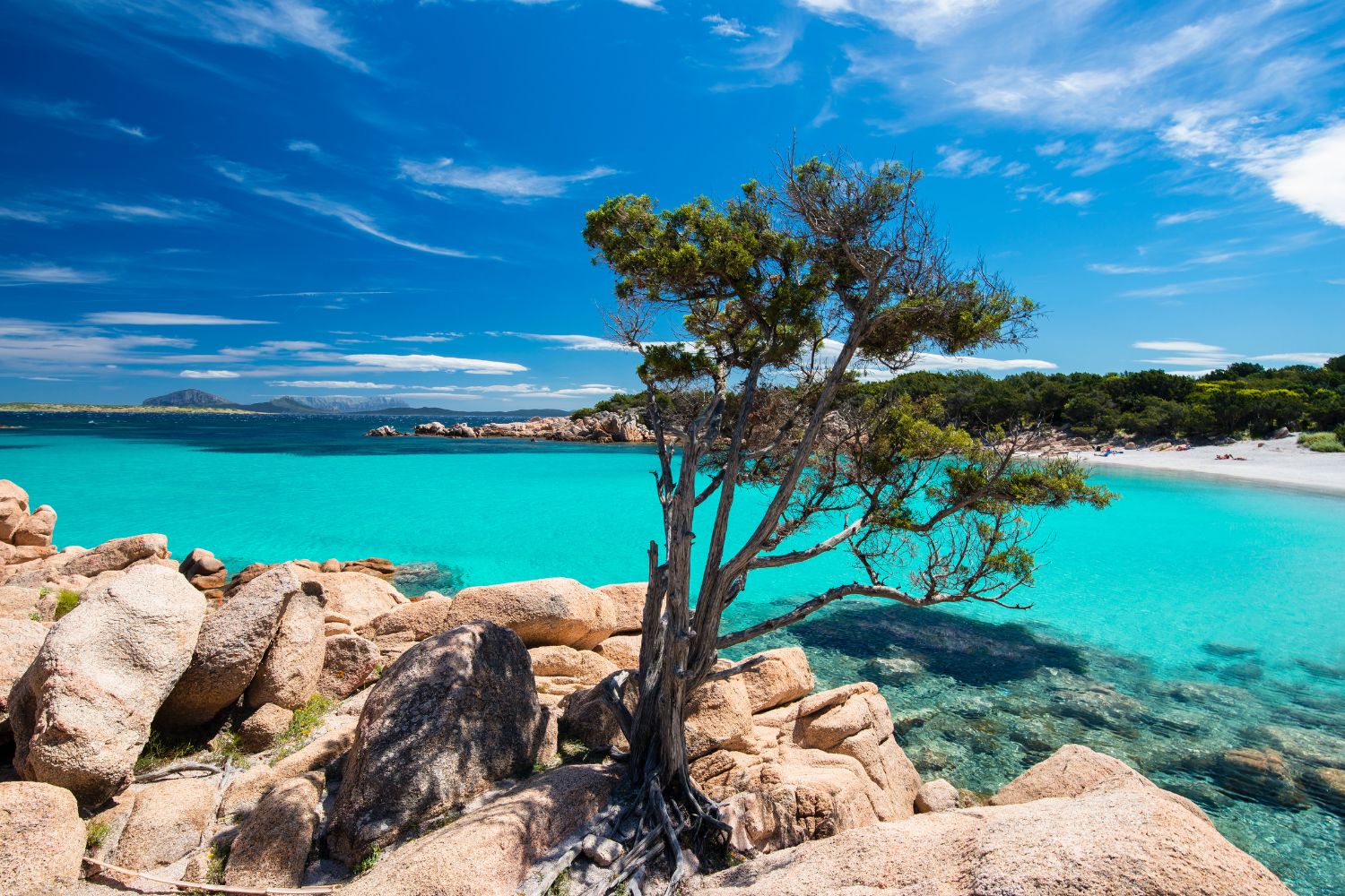 Arzachena is the new Blue Zone of Sardinia, the longevity is at home on the island