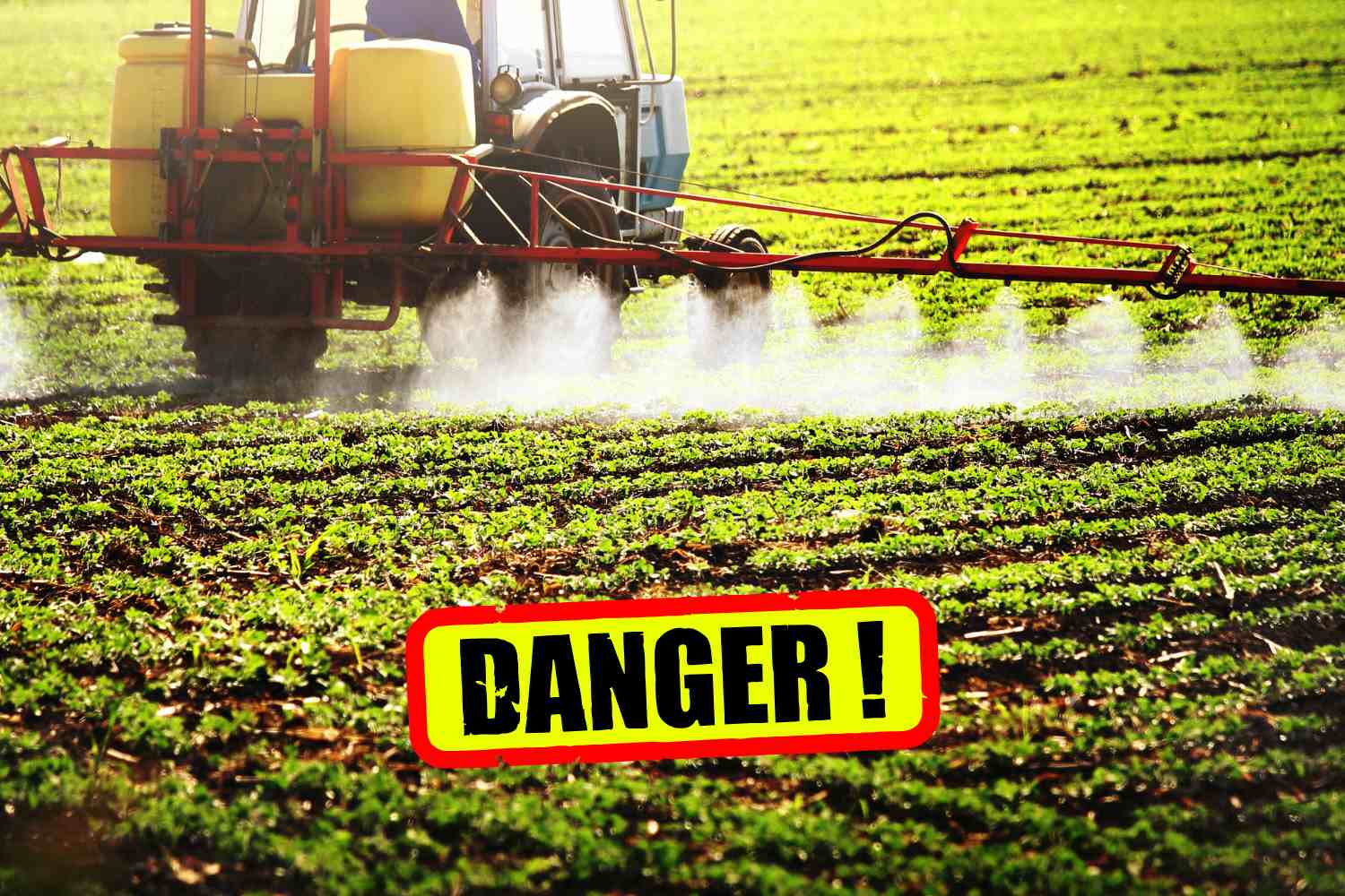 pesticidi pericolo