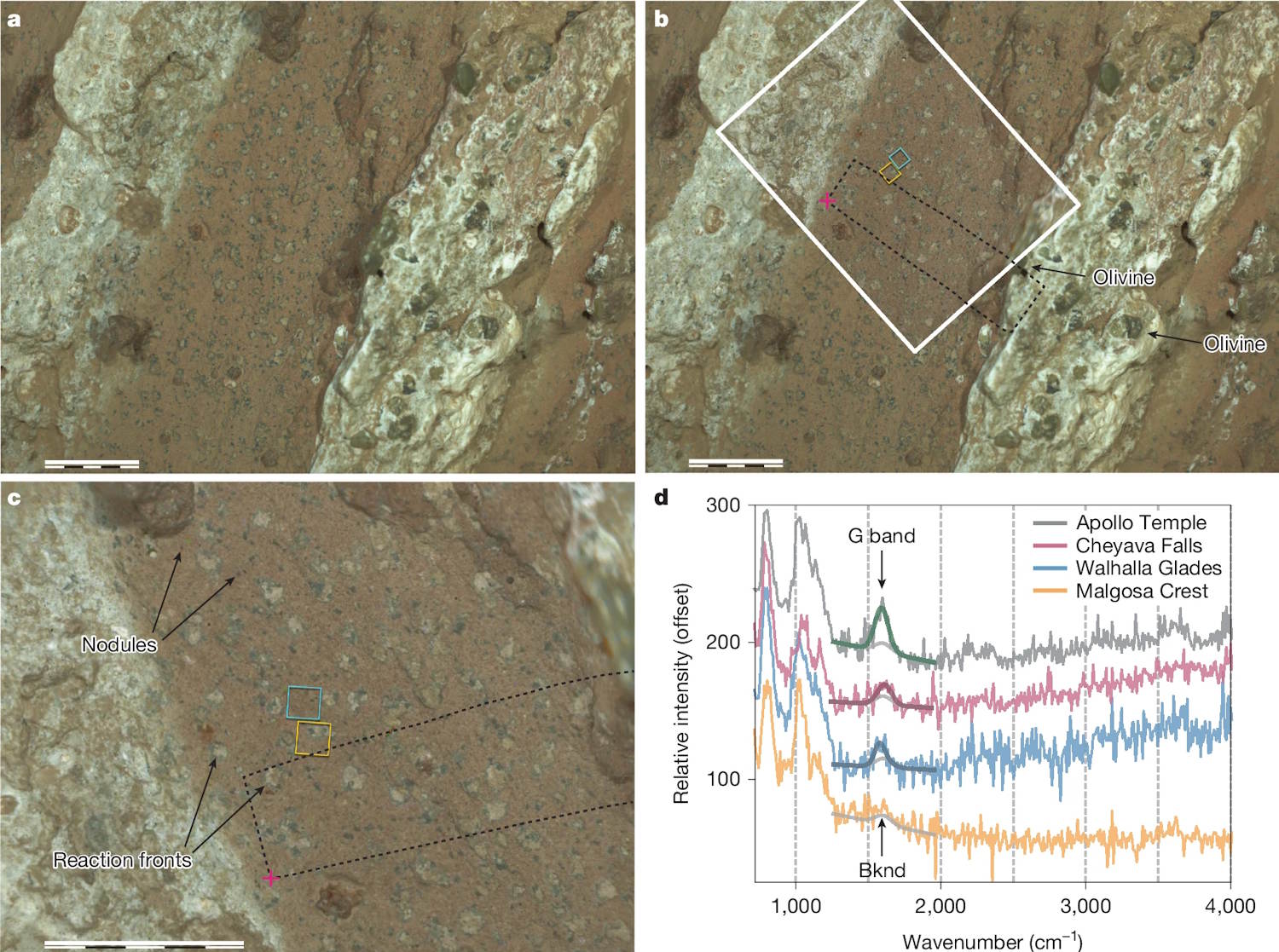 Life on Mars discovered NASA