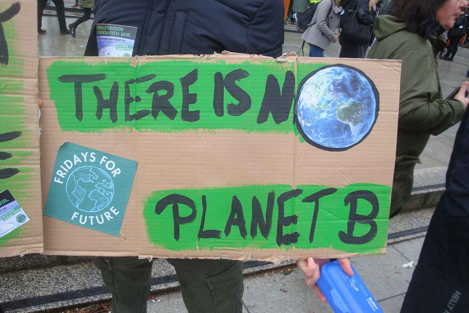 Fridays for Future protests
