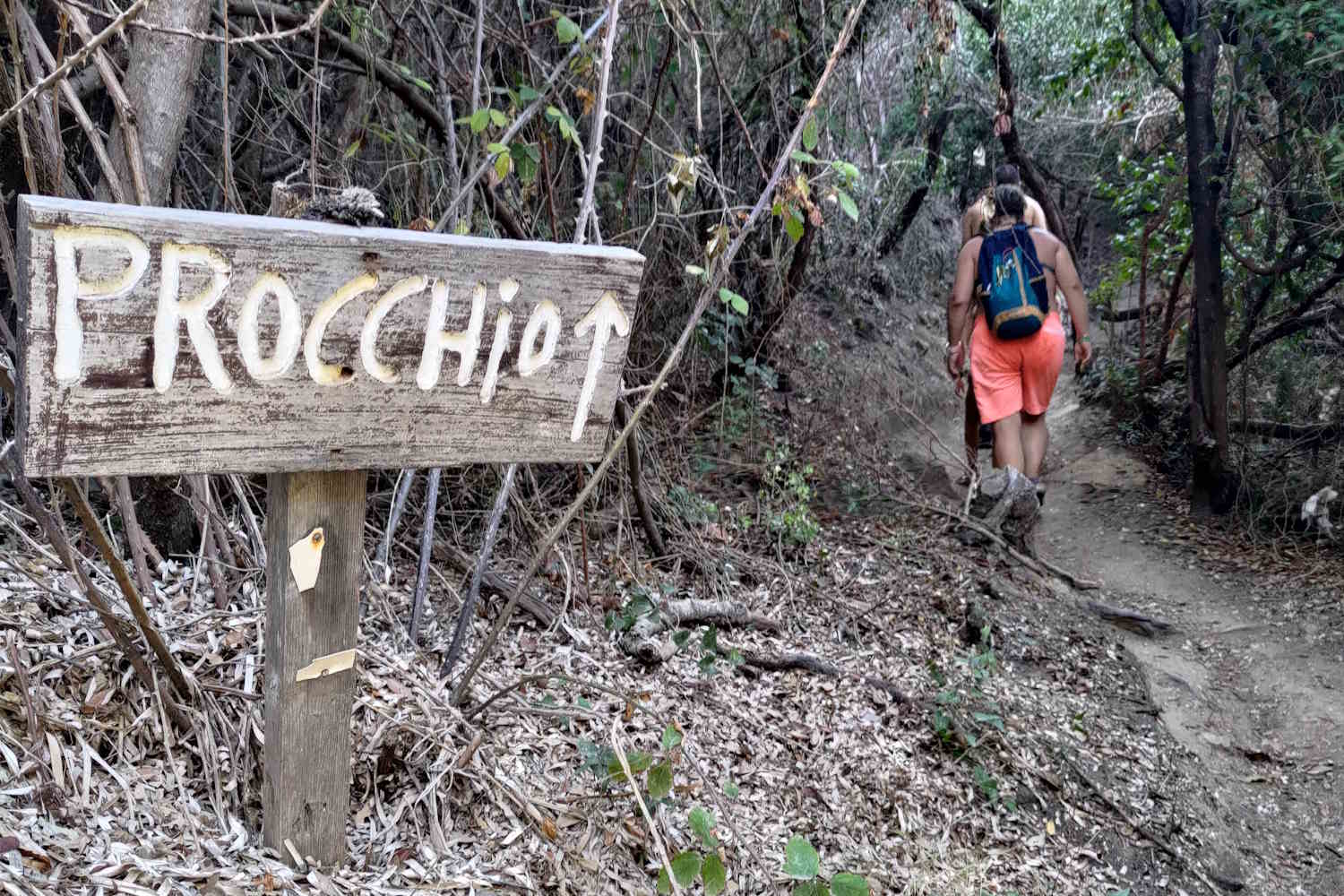 procchio_cammini elba