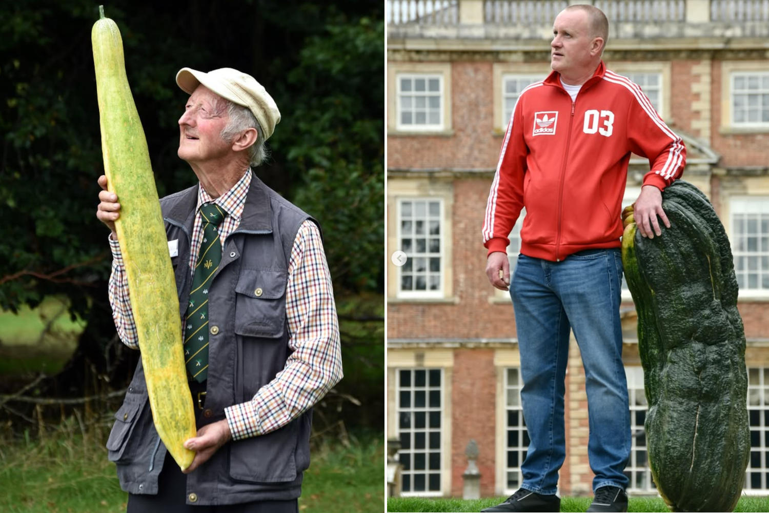 Harrogate Autumn Flower Show
