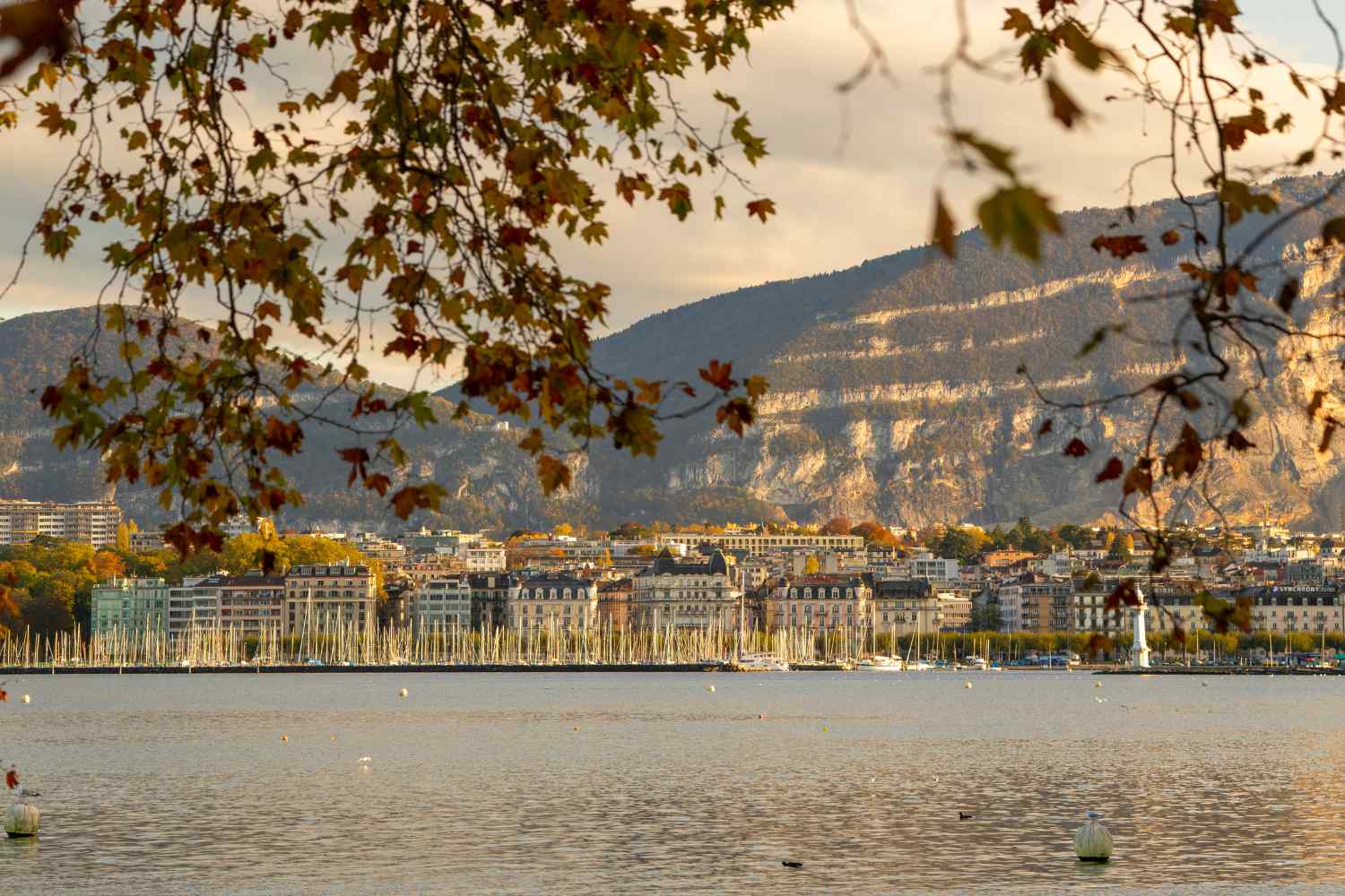 Geneva