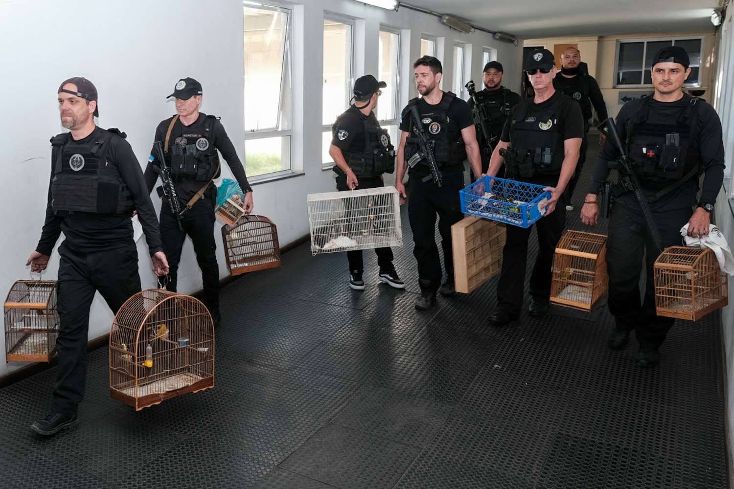 Operazione Brasile