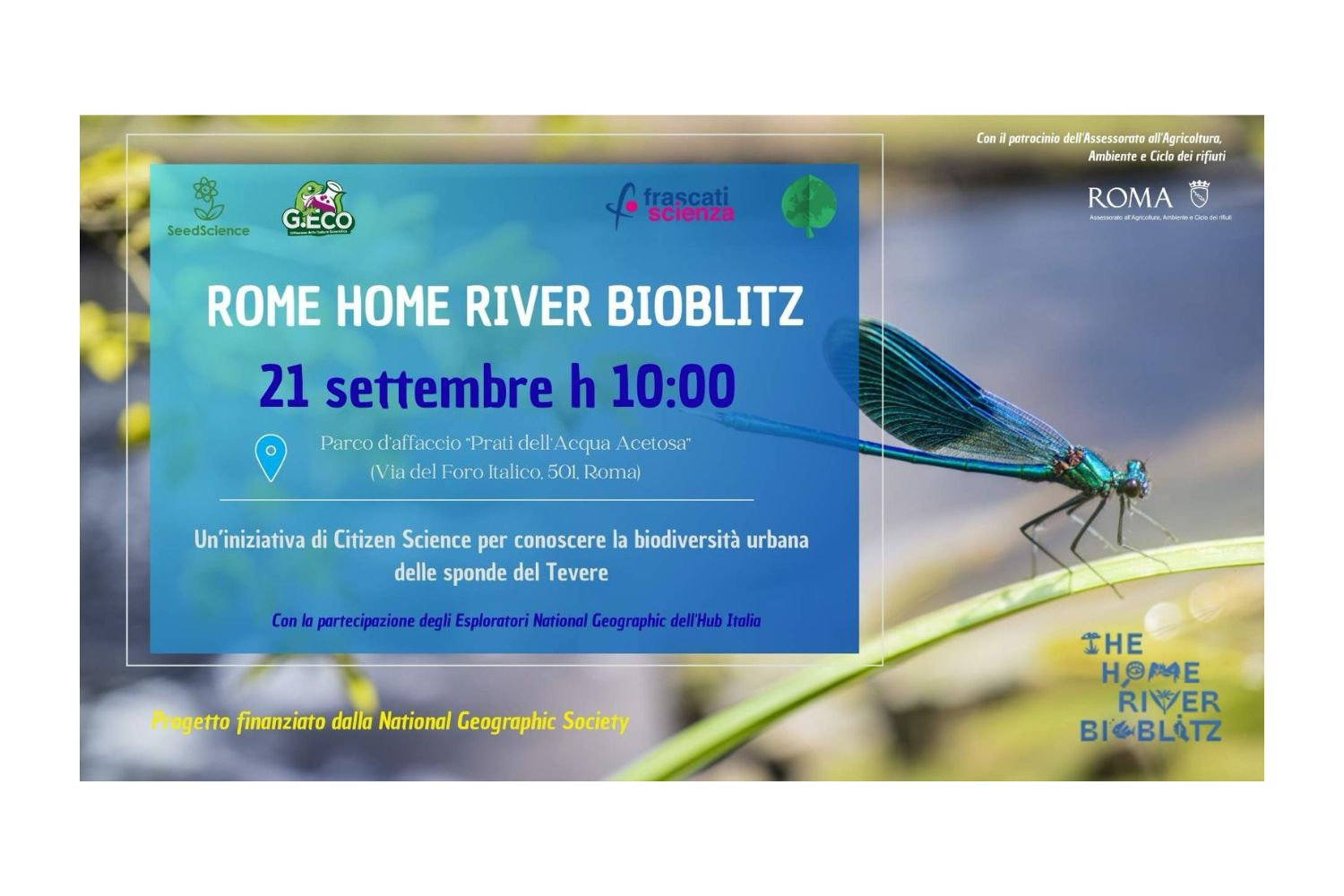 Science and nature within the app: the bioblitz that transforms citizens into researchers