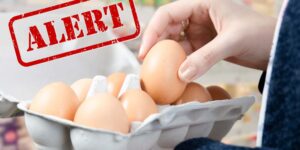 Salmonella alarm in eggs: over 200 cases and one death in the United Kingdom