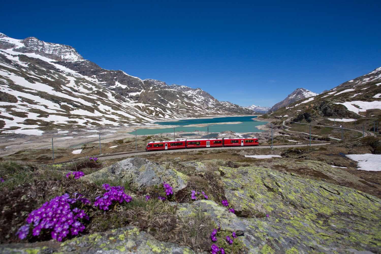Bernina train 5