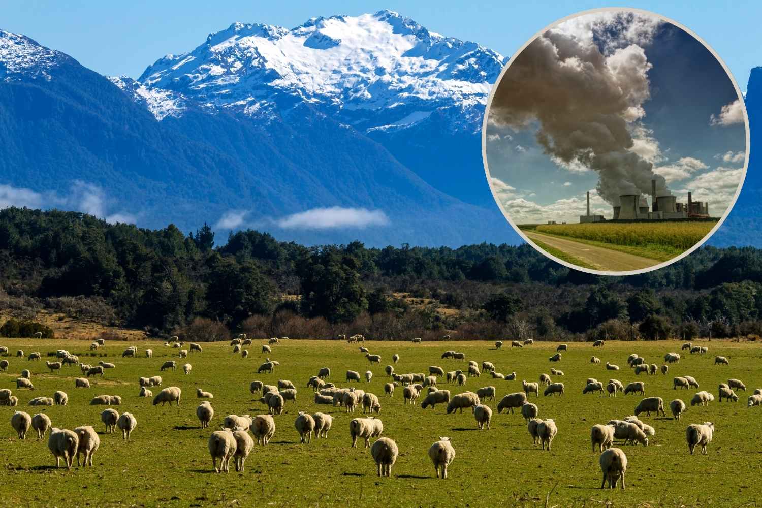 Nuova_Zelanda_emissioni