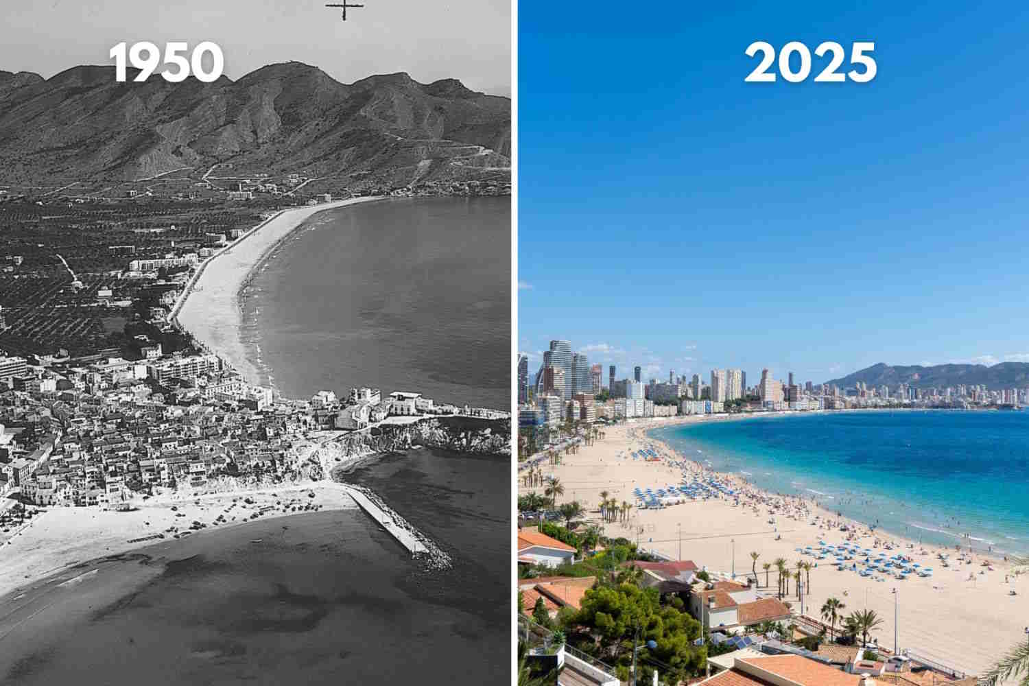 Benidorm vertical plan