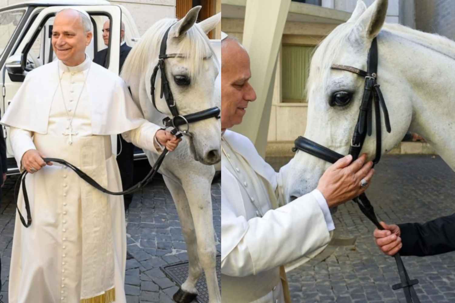 Papa cavallo bianco