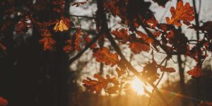 It’s not just a change of season: because the autumn equinox has a profound meaning (even in our lives)