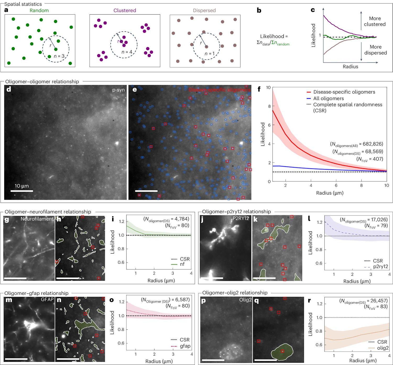 parkinson's disease images protein clusters cause