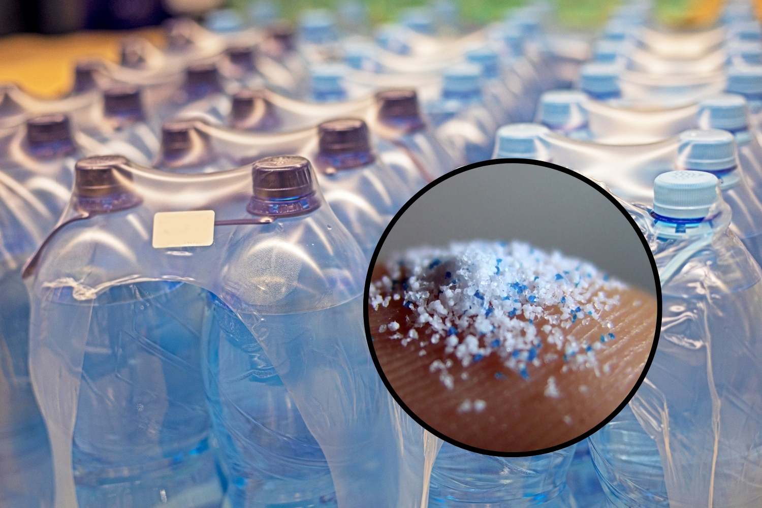 microplastiche acqua minerale