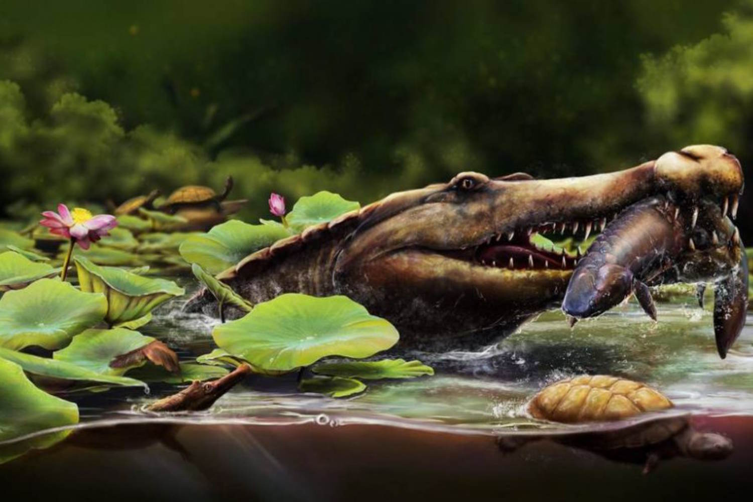 scoperta egitto antico coccodrillo