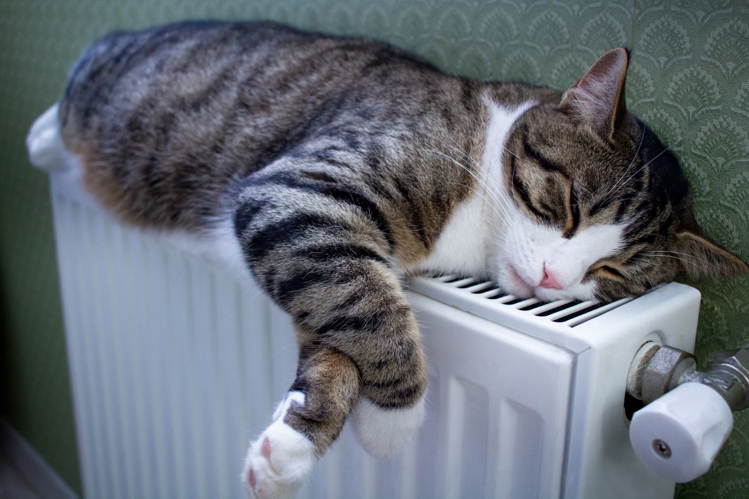 Stop waste: 4 things you should never keep near radiators (they cost a lot on your bill!)