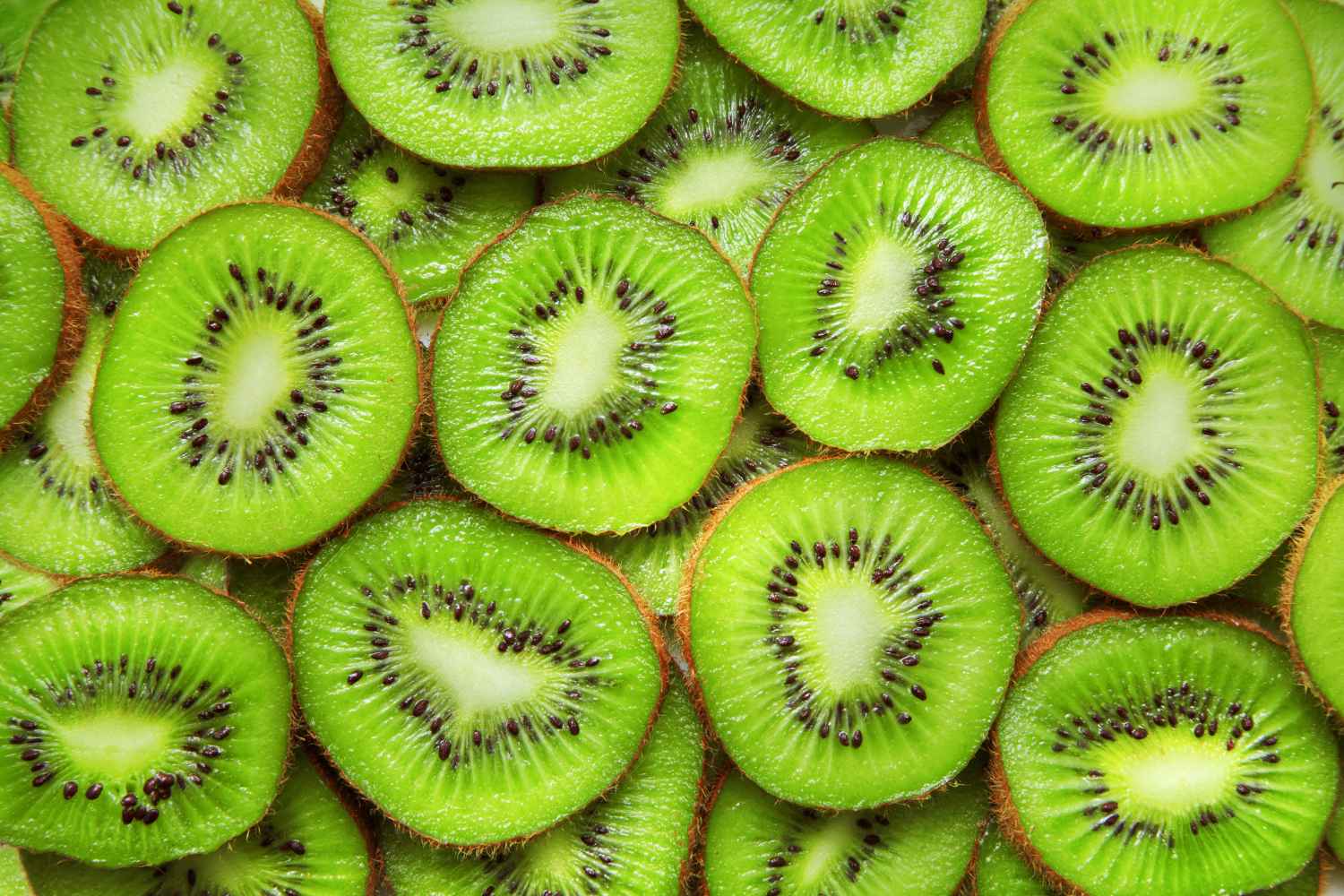kiwi