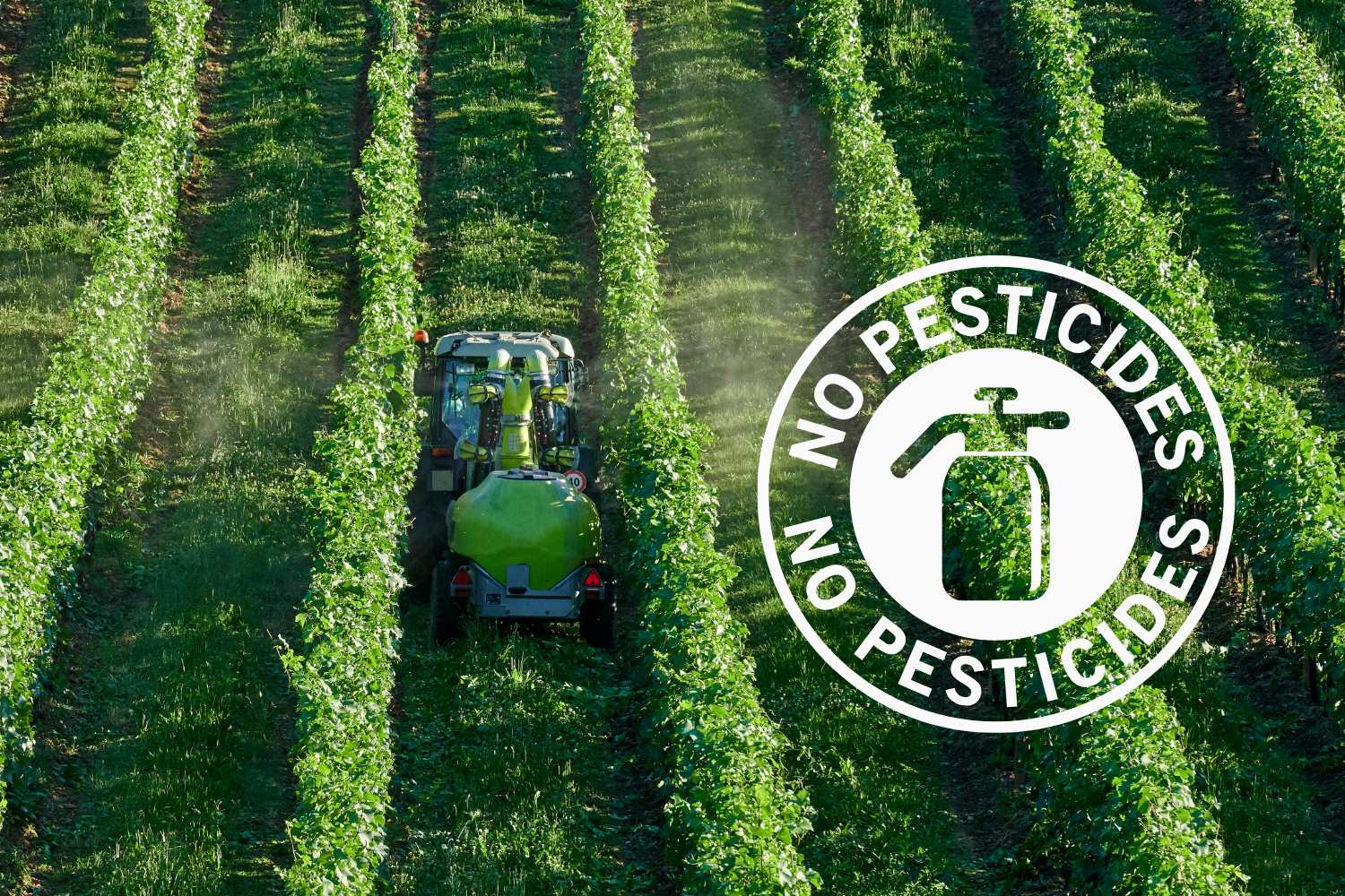 no pesticidi