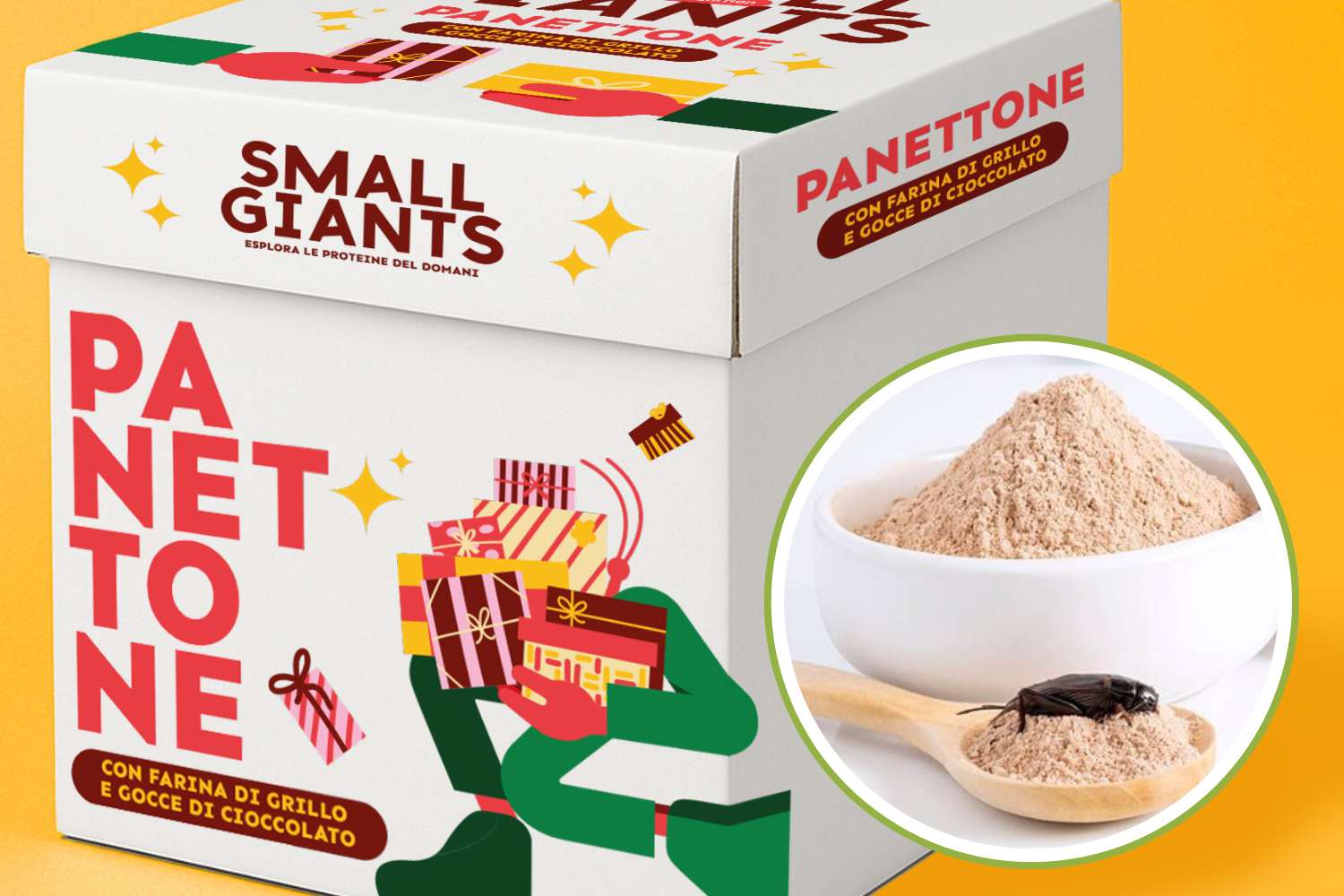 panettone farina di grilli small giants