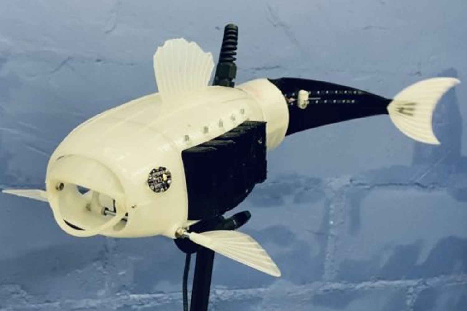 pesce robot mangia microplastiche