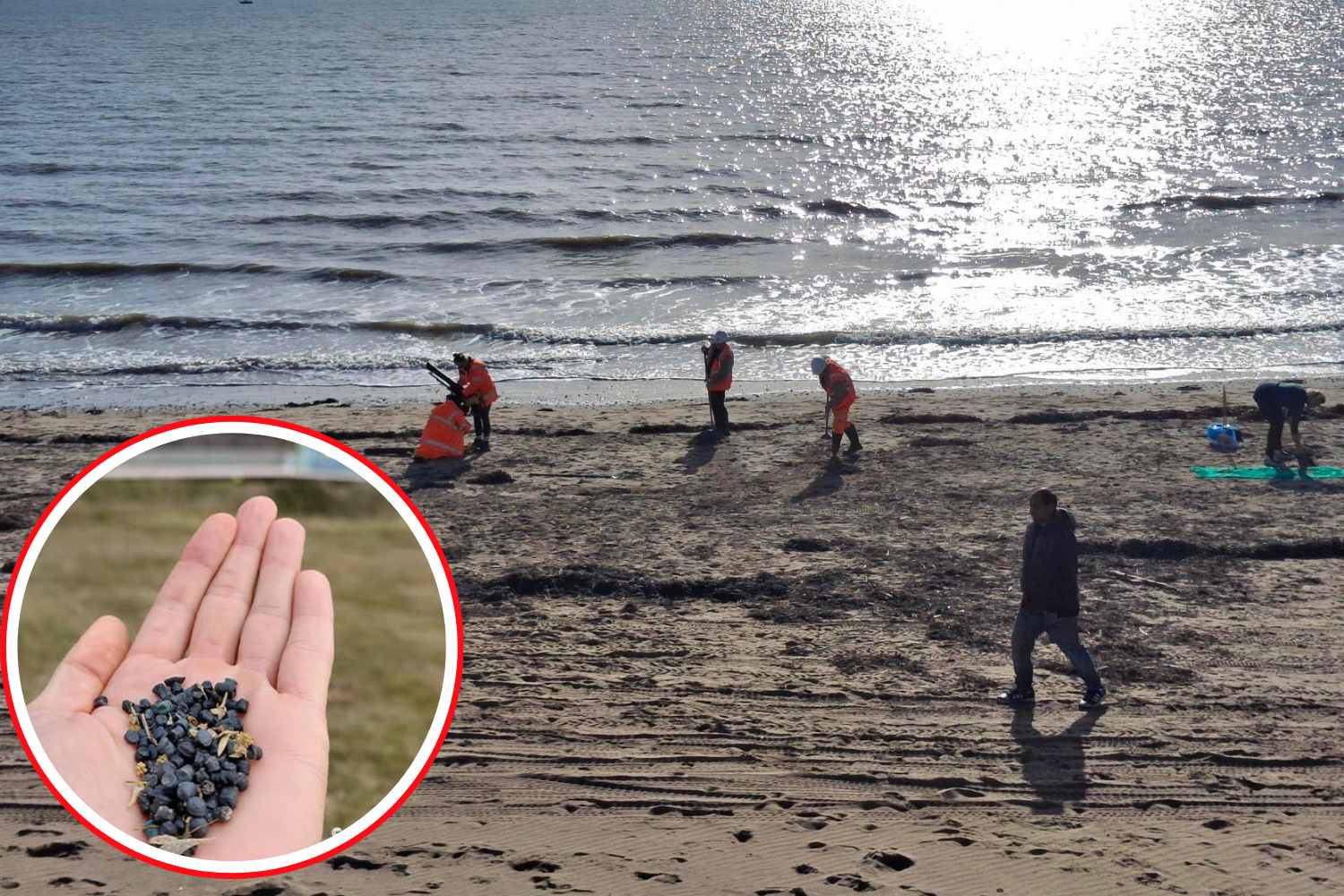 Those "black tears" that poison the beaches: 650 million plastic microspheres have invaded East Sussex
