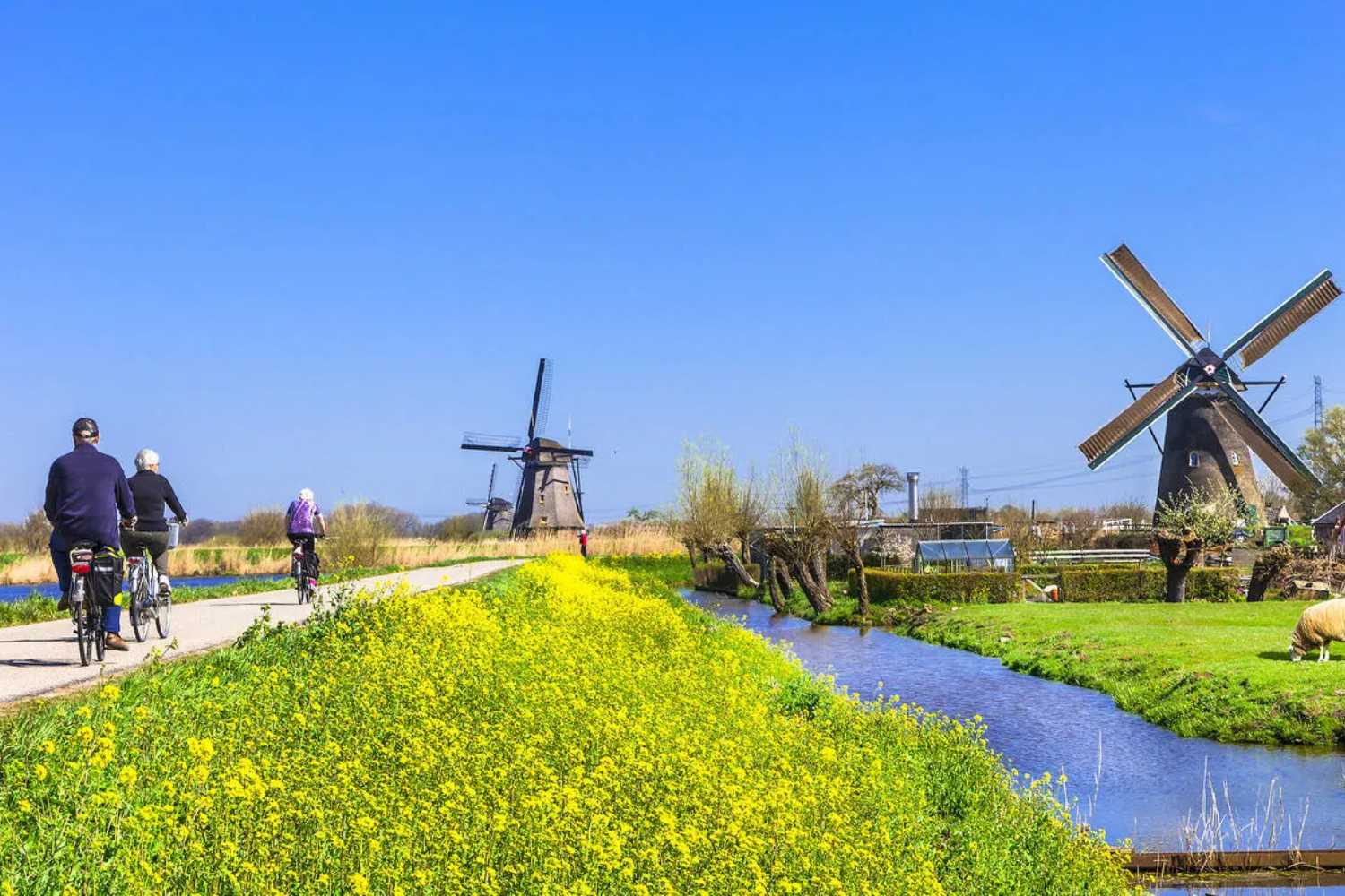 Path of windmills in Kinderdijk, Netherlands
