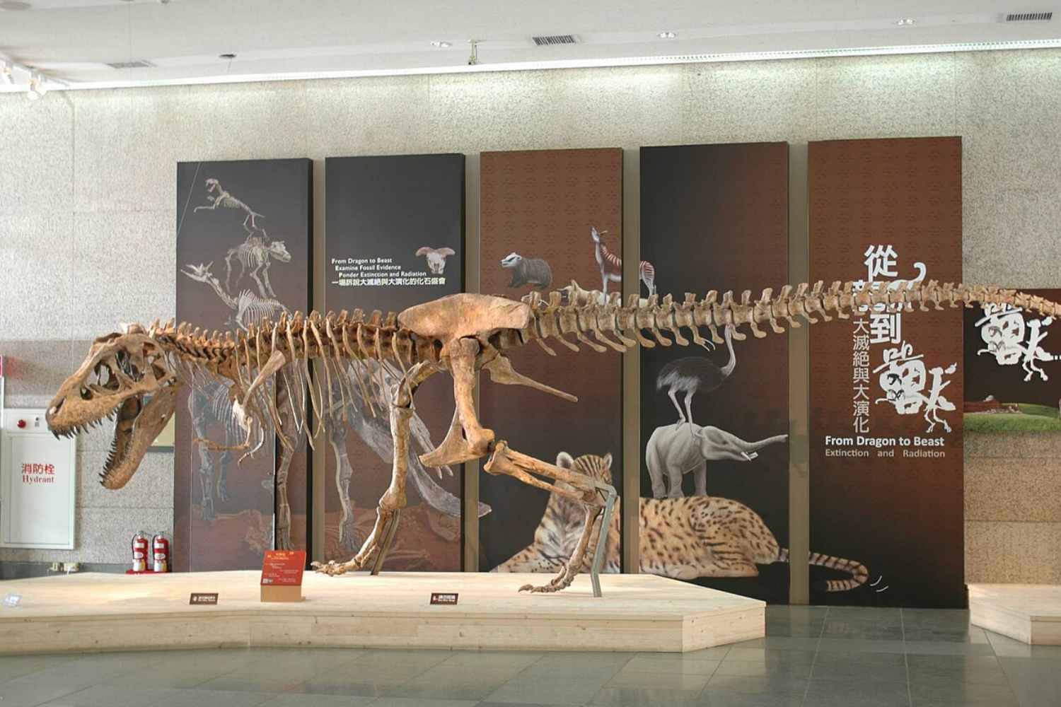 Tarbosaurus bataar
