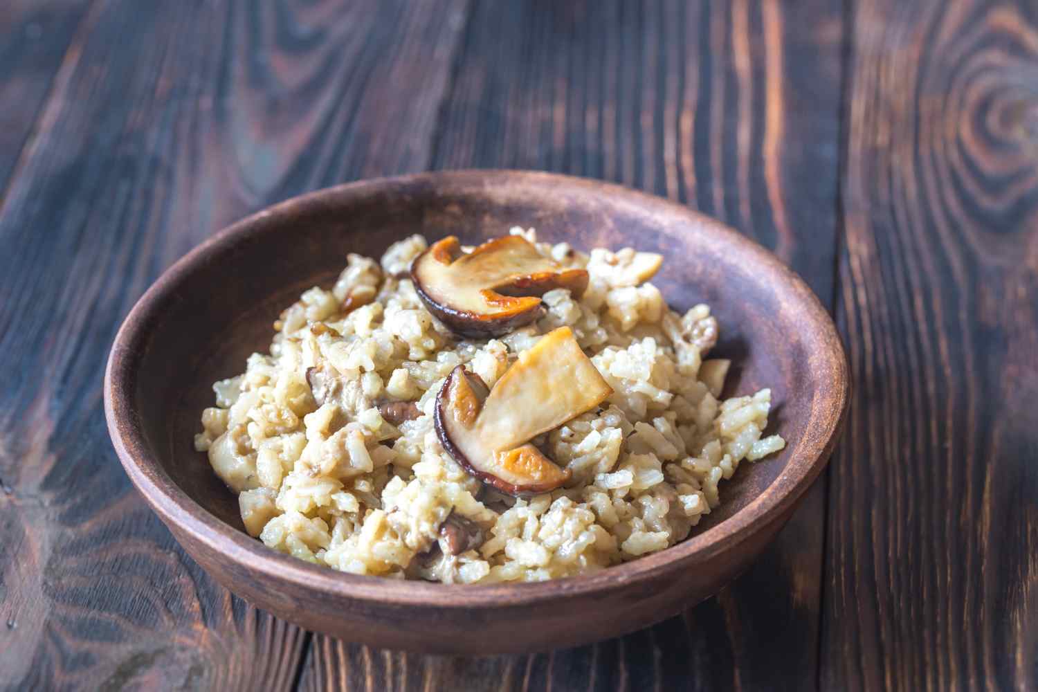 Porcini risotto