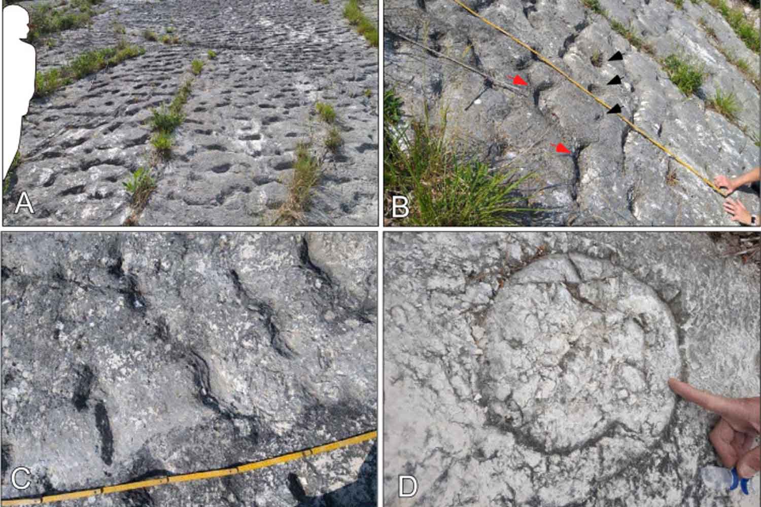 impronte preistoriche